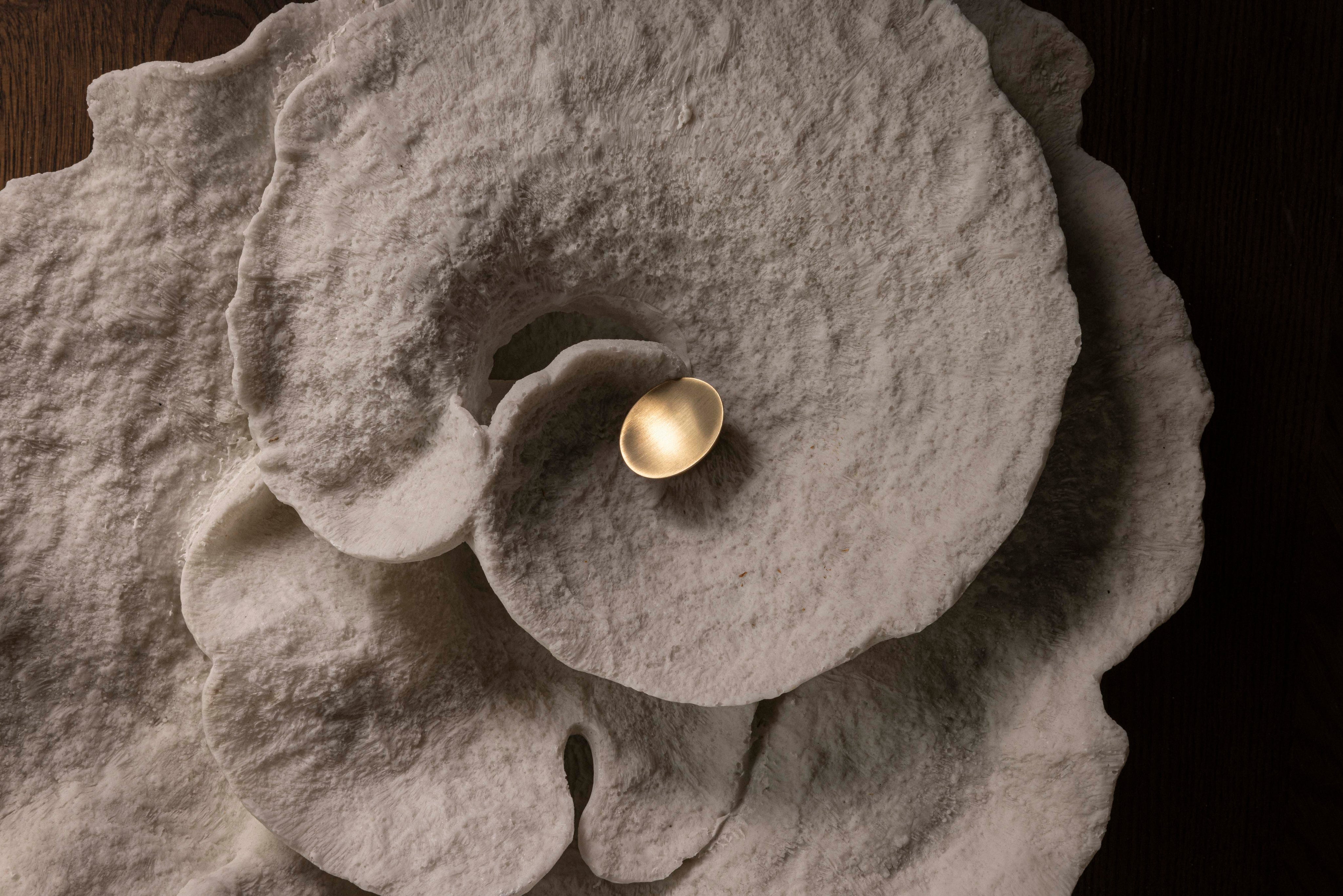 Brandt-Collective_1035.jpg