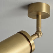 BRANDT Collective ELEMENT wall or ceiling spot in Satin Nickel
