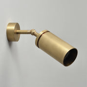BRANDT Collective ELEMENT wall or ceiling spot in Satin Nickel