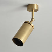 BRANDT Collective ELEMENT wall or ceiling spot in Satin Nickel