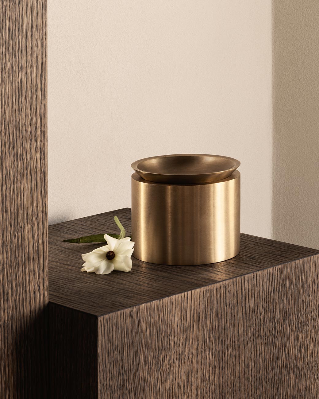 EDO canister MEDIUM - Satin Brass