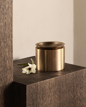 EDO canister MEDIUM - Satin Brass